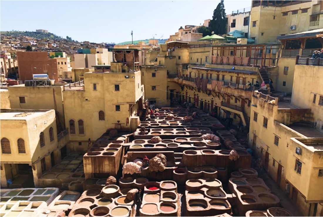 tour fez